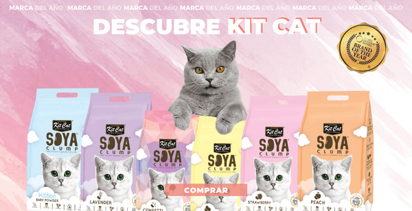 Descubre todas las novedades de la marca Kit Cat 